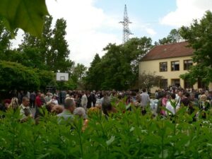 ballagás 2006 (1)